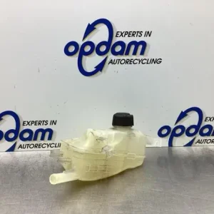 Koelmiddel Compensatiereservoir RENAULT SCÉNIC III (JZ0/1_), RENAULT GRAND SCÉNIC III (JZ0/1_) Meest Verkocht