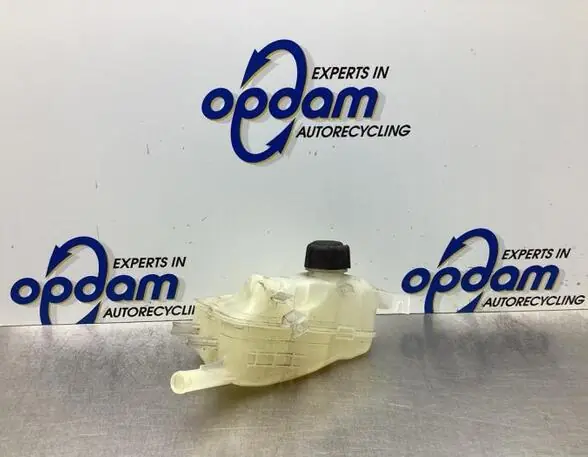 Koelmiddel Compensatiereservoir RENAULT SCÉNIC III (JZ0/1_), RENAULT GRAND SCÉNIC III (JZ0/1_) Meest Verkocht