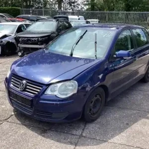 Koopje Deur VW POLO (9N_), VW POLO Saloon (9A4, 9A2, 9N2, 9A6)