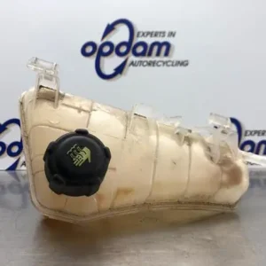 In De Mode Koelmiddel Compensatiereservoir RENAULT KANGOO Express (FW0/1_)