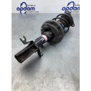 Veerpoot RENAULT TWINGO III (BCM_, BCA_) Wereldwijde Verzending