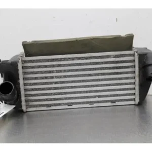 Interkoeler tussenkoeler FIAT 500 (312_), FIAT 500 C (312_) Koopje