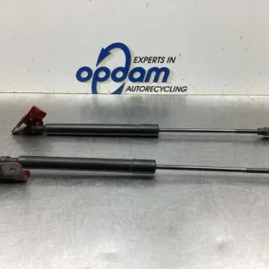 Gasveer kofferruimte RENAULT CLIO IV Grandtour (KH_), RENAULT CLIO III Grandtour (KR0/1_) Groothandel