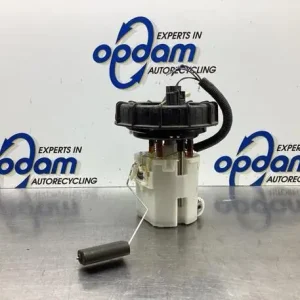 Brandstofpomp FORD FIESTA VI (CB1, CCN), MAZDA 2 (DE_, DH_) Professioneel