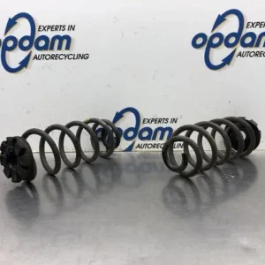 Favoriet Chassisveer RENAULT TWINGO III (BCM_, BCA_)