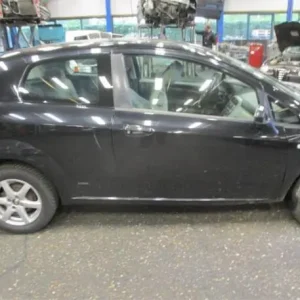 Deur FIAT GRANDE PUNTO (199_), FIAT PUNTO (199_), FIAT PUNTO EVO (199_), ABARTH GRANDE PUNTO Shop Nu