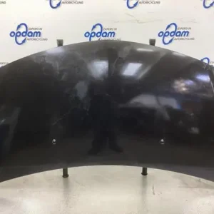 Motorkap RENAULT CLIO III (BR0/1, CR0/1), RENAULT CLIO II (BB_, CB_), RENAULT CLIO IV (BH_) Garantie Inbegrepen