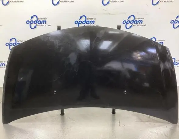 Motorkap RENAULT CLIO III (BR0/1, CR0/1), RENAULT CLIO II (BB_, CB_), RENAULT CLIO IV (BH_) Garantie Inbegrepen