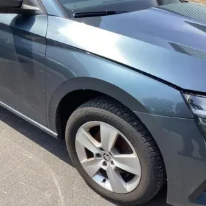 Spatbord SKODA SCALA (NW1) Alleen Vandaag