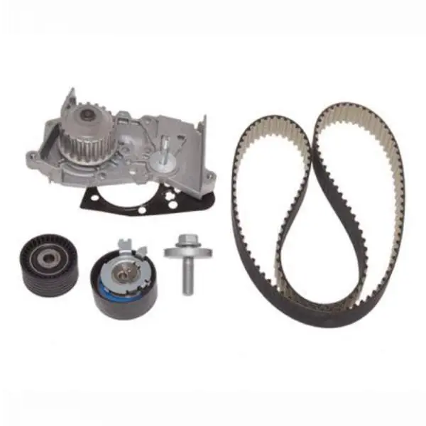 Modern Distributieriem kit inclusief waterpomp Dayco\\/Hp WPK 6012